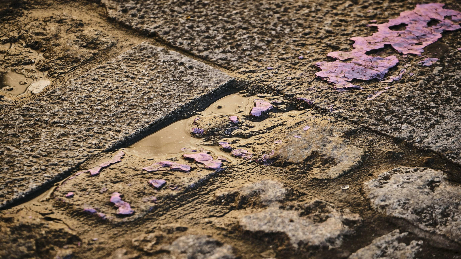 Estado del pavimento en plaza de la Catedral