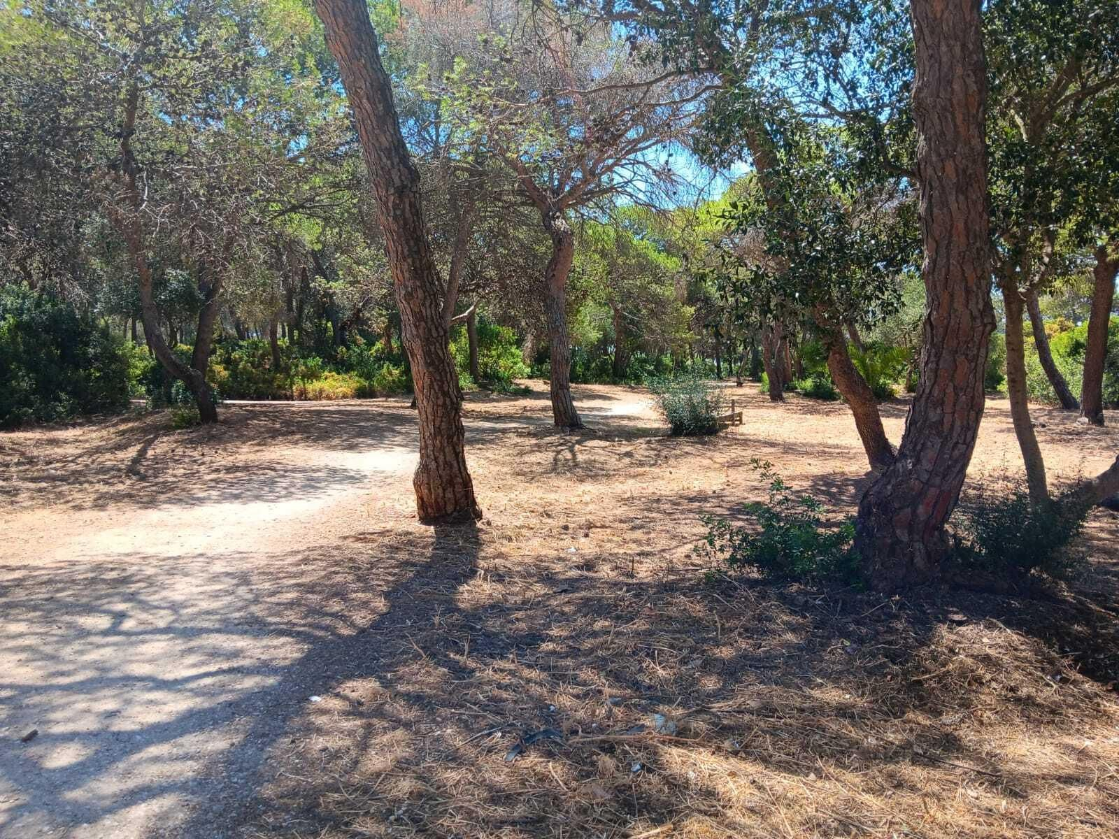 Limpieza y desbroce de zonas verdes de Puerto Real