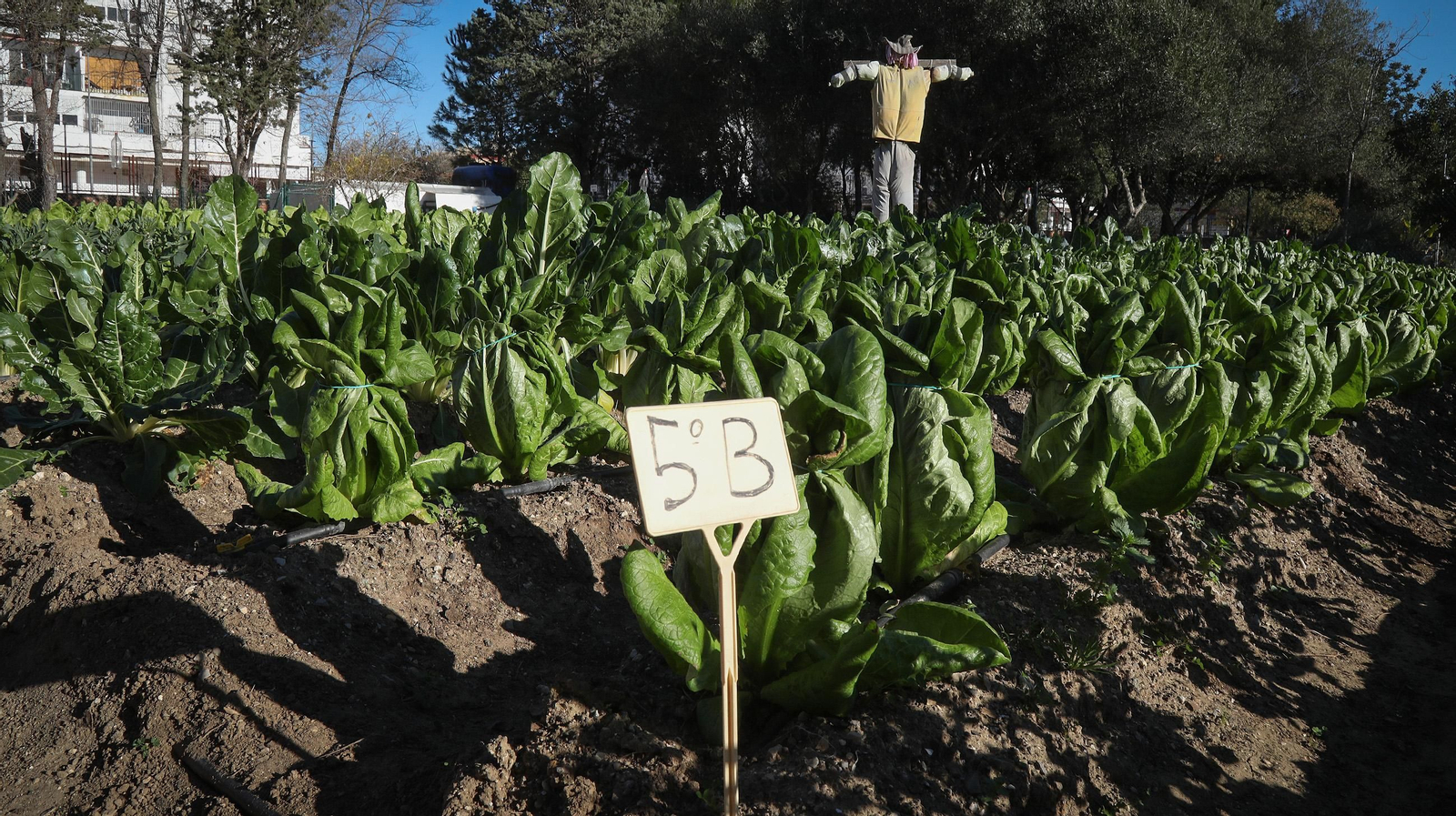 Huerto ecológico y educativo en Los Marianistas