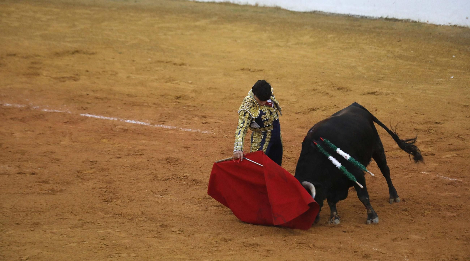 Las fotos de la novillada final de las escuelas taurinas de Cádiz, en La Línea