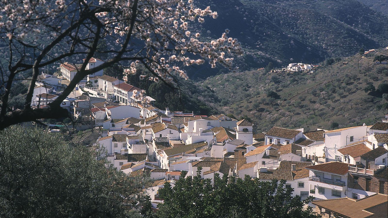 Vista de Moclinejo. Vista de Moclinejo.