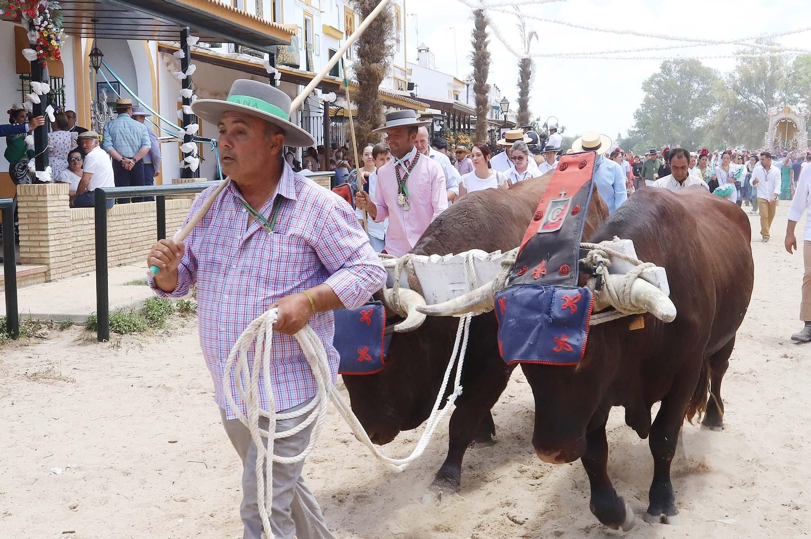 Imágenes del ambiente El Rocío y en Casas de Hermandades