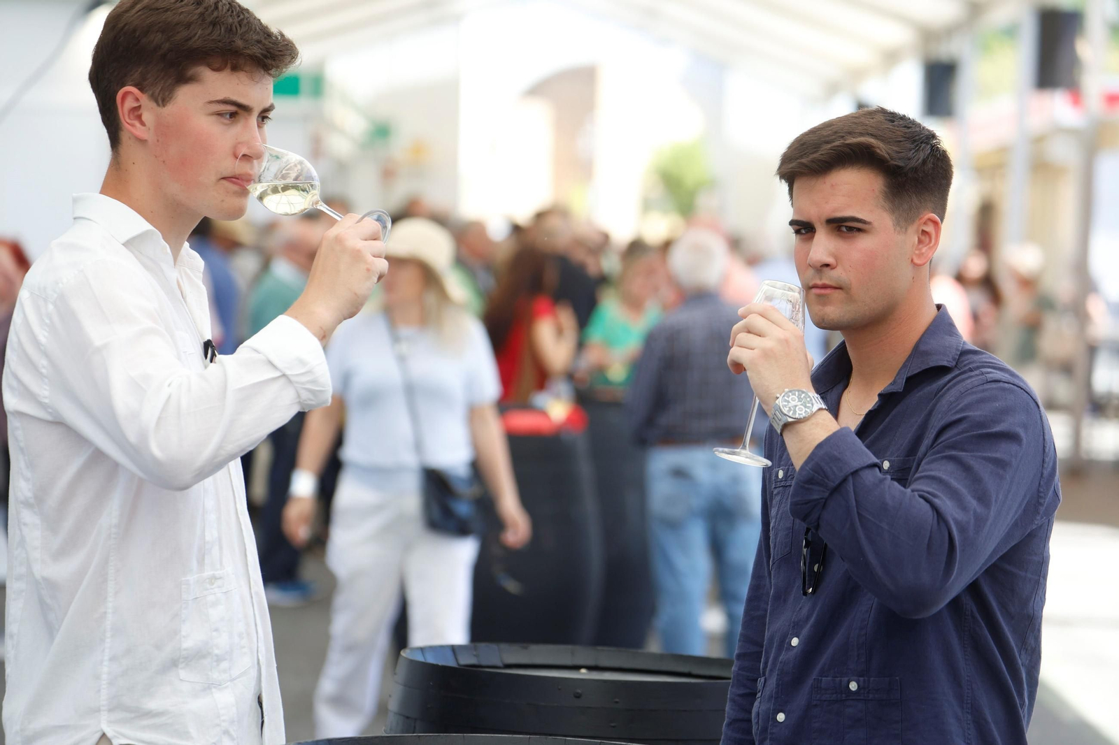 La inauguración de la Cata del Vino Montilla-Moriles 2025, en imágenes