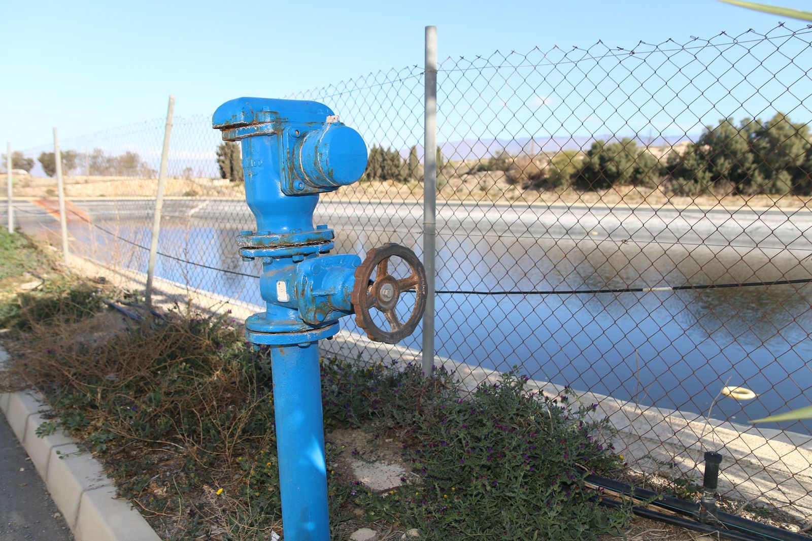 Imagen de una balsa de riego.