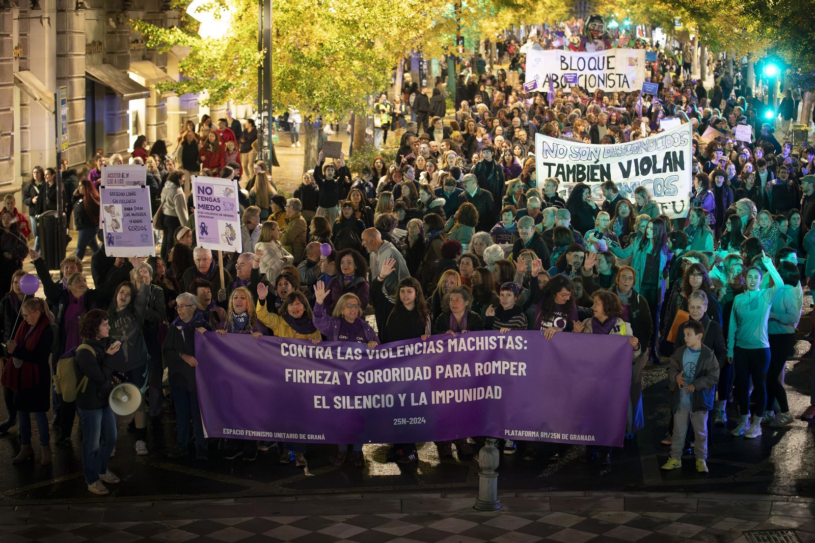 Imagen de archivo de la manifestación por el 25N en Granada de 2024