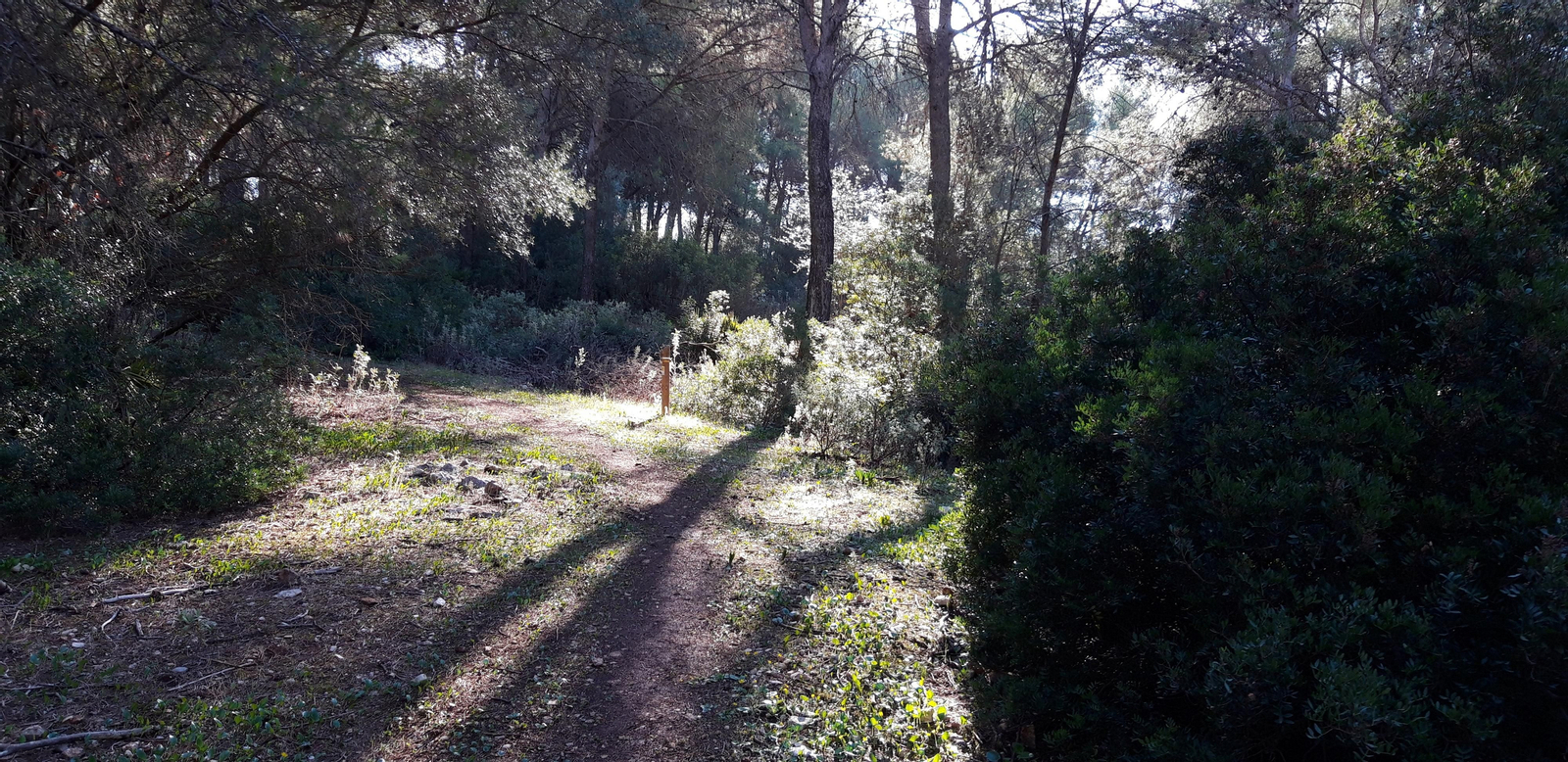 Las fotos de la ruta del castillo de Cote, en Montellano