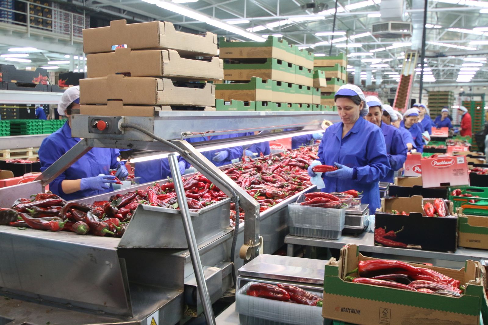 Las imágenes de la visita de Susana Díaz a Almería