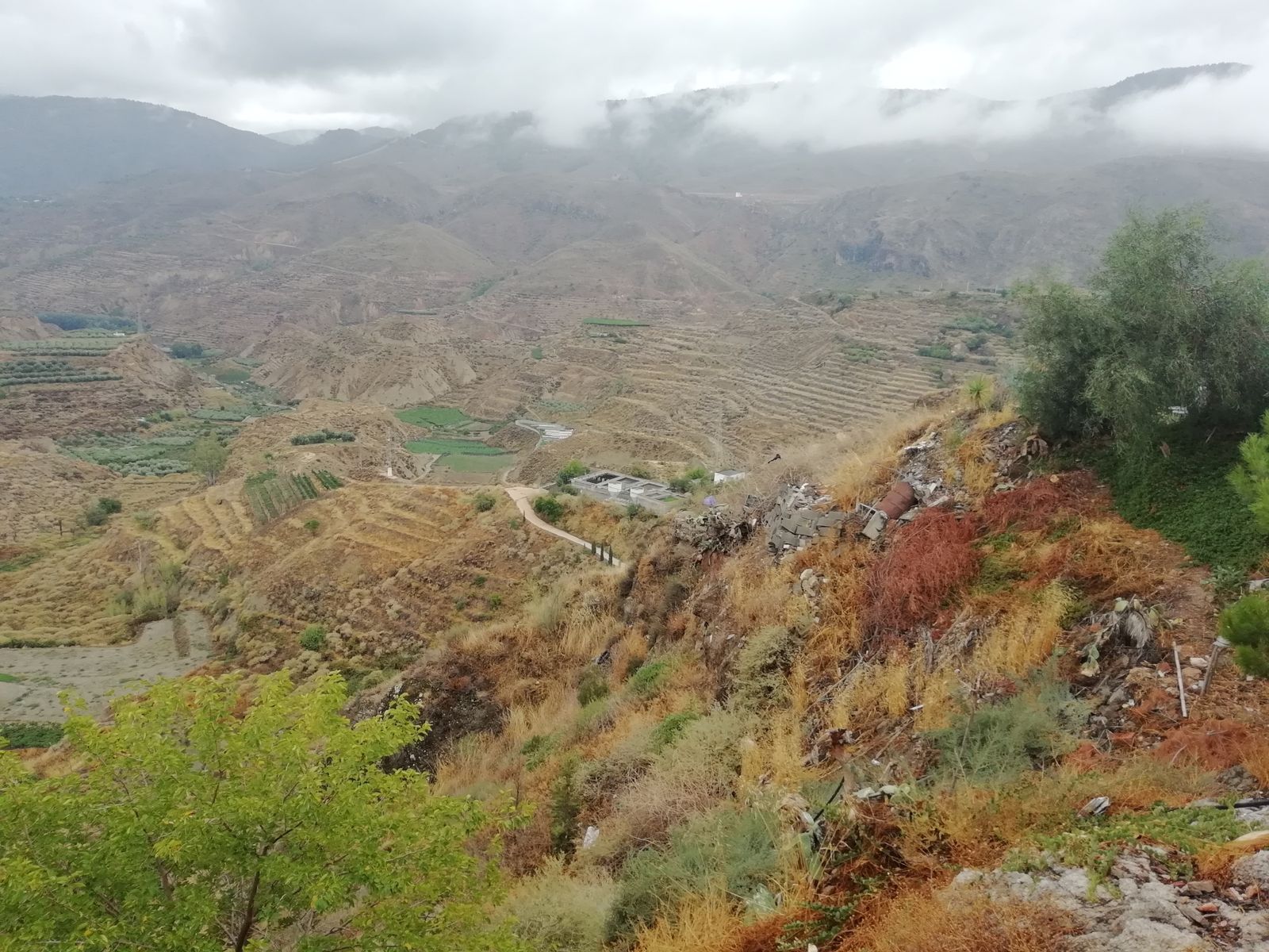 Cultivos en la Alpujarra almeriense