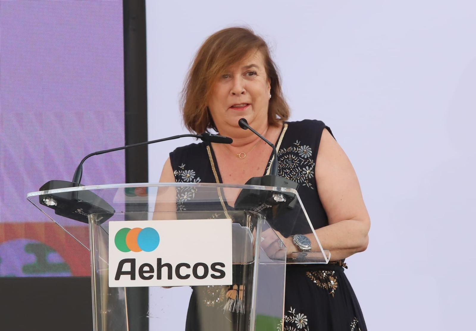 La entrega de los Premios Aehcos 2024 en Málaga, en fotos