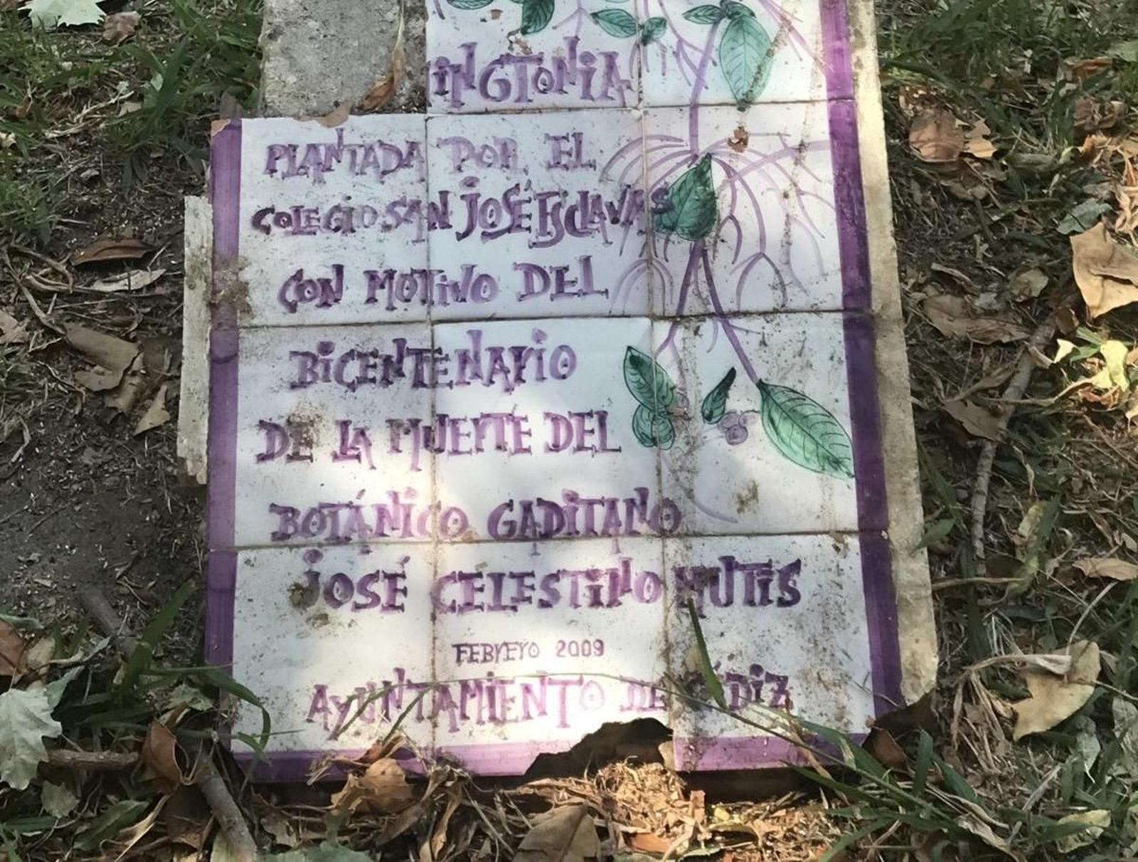 Pobre homenaje a Mutis