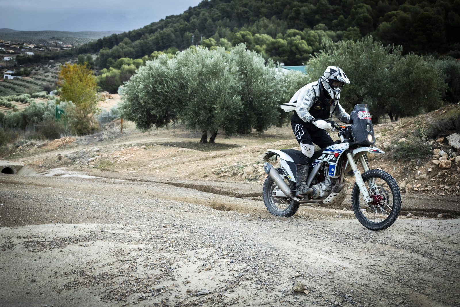 ¿Estuviste en la tercera edición de la ruta Olivobook? Búscate