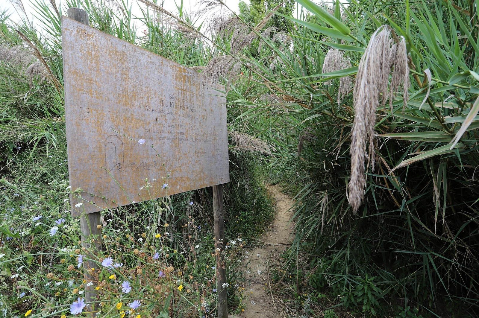 Imágenes del estado de abandono en el que se encuentra la Fuente Vieja y su entorno