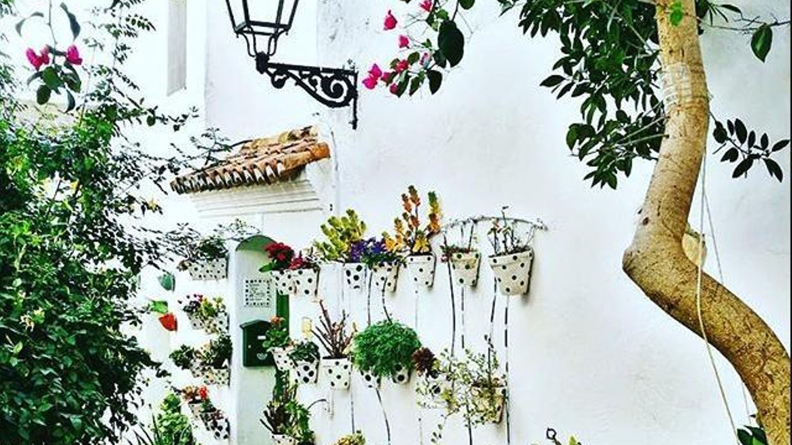 Hotel Castillo de Castellar.