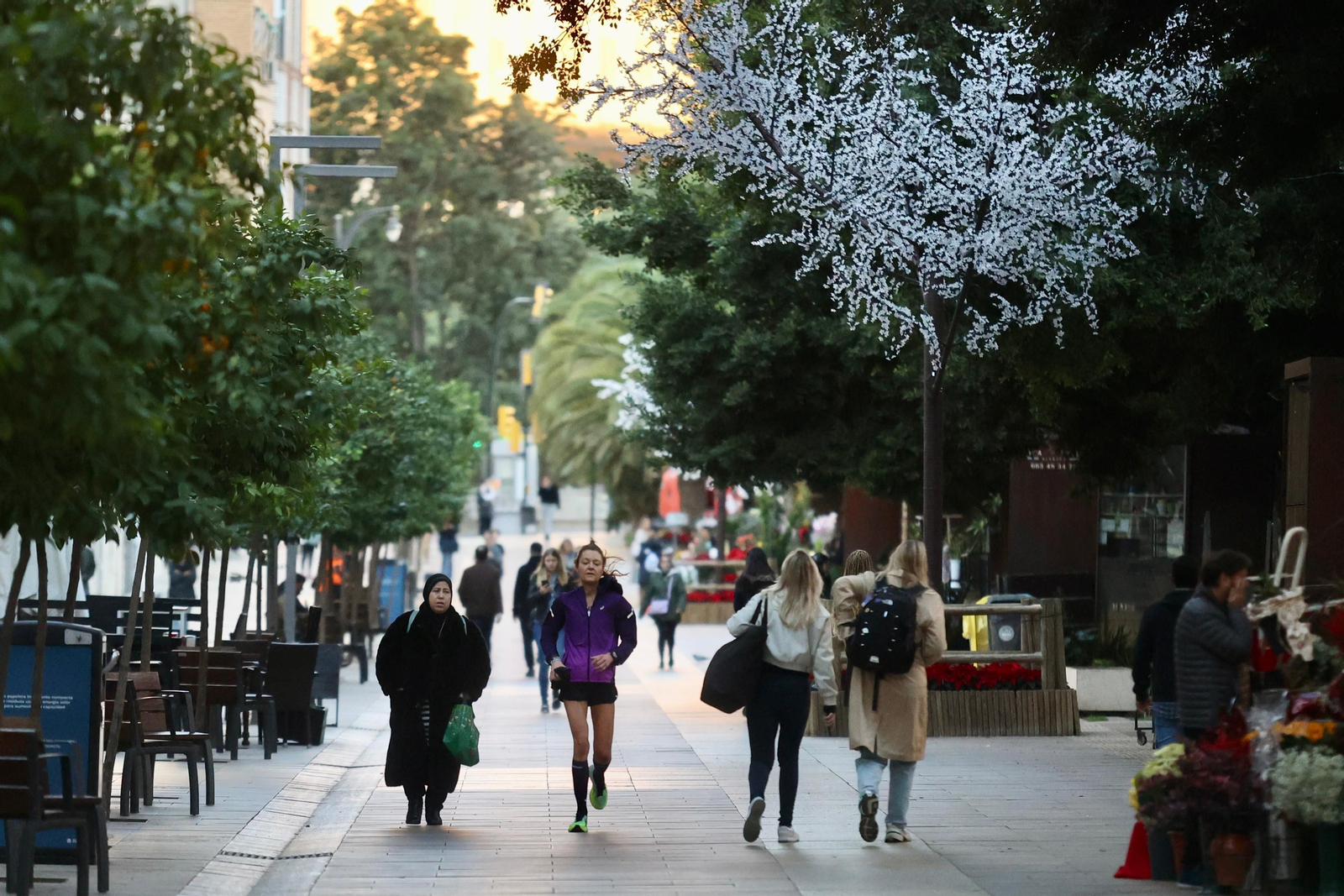 La Alameda Principal de Málaga, este domingo por la mañana.