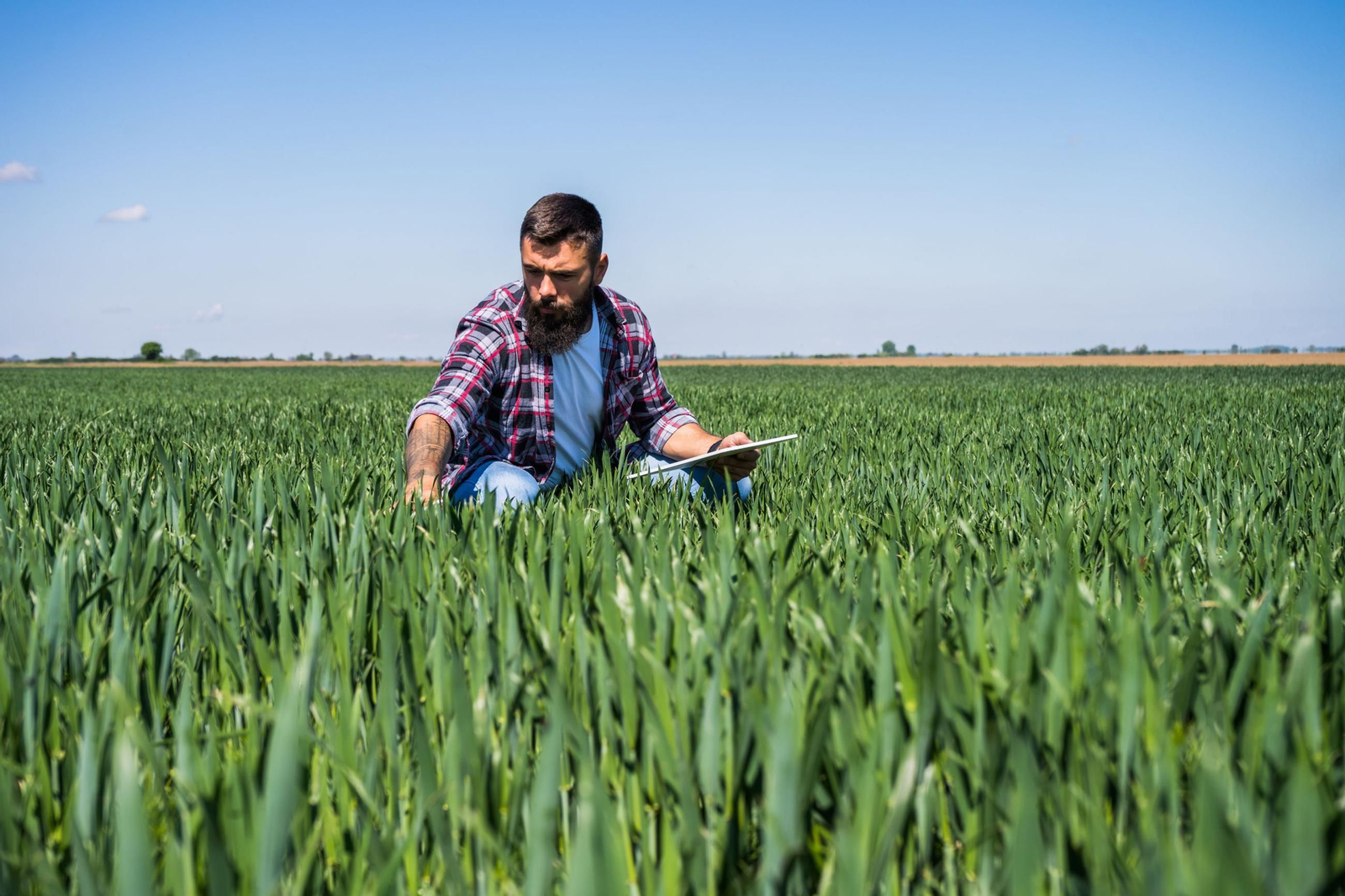 Joven agricultor en su explotación.