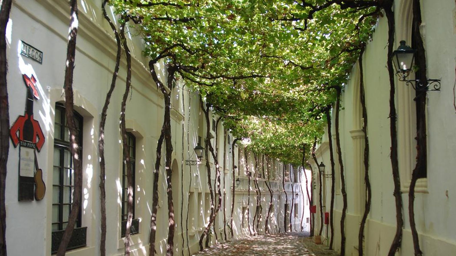 Una de las calles bajo la sombra de parras de la vid en el interior del complejo de González Byass.