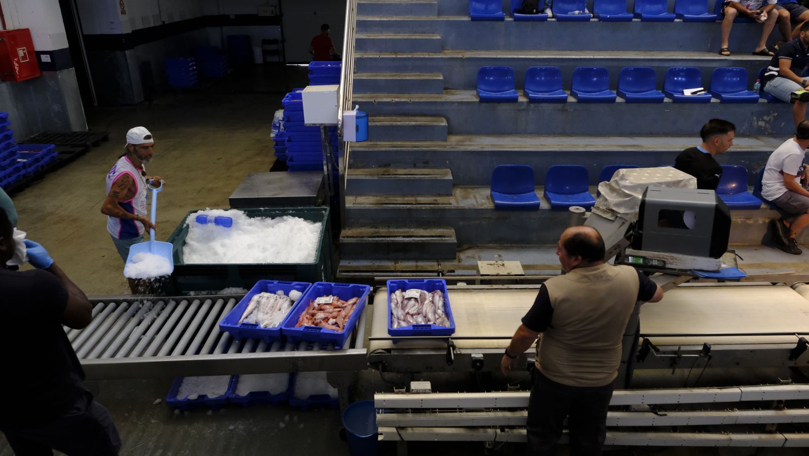 Imágenes de la visita guiada a la Lonja del Puerto Pesquero de Almería