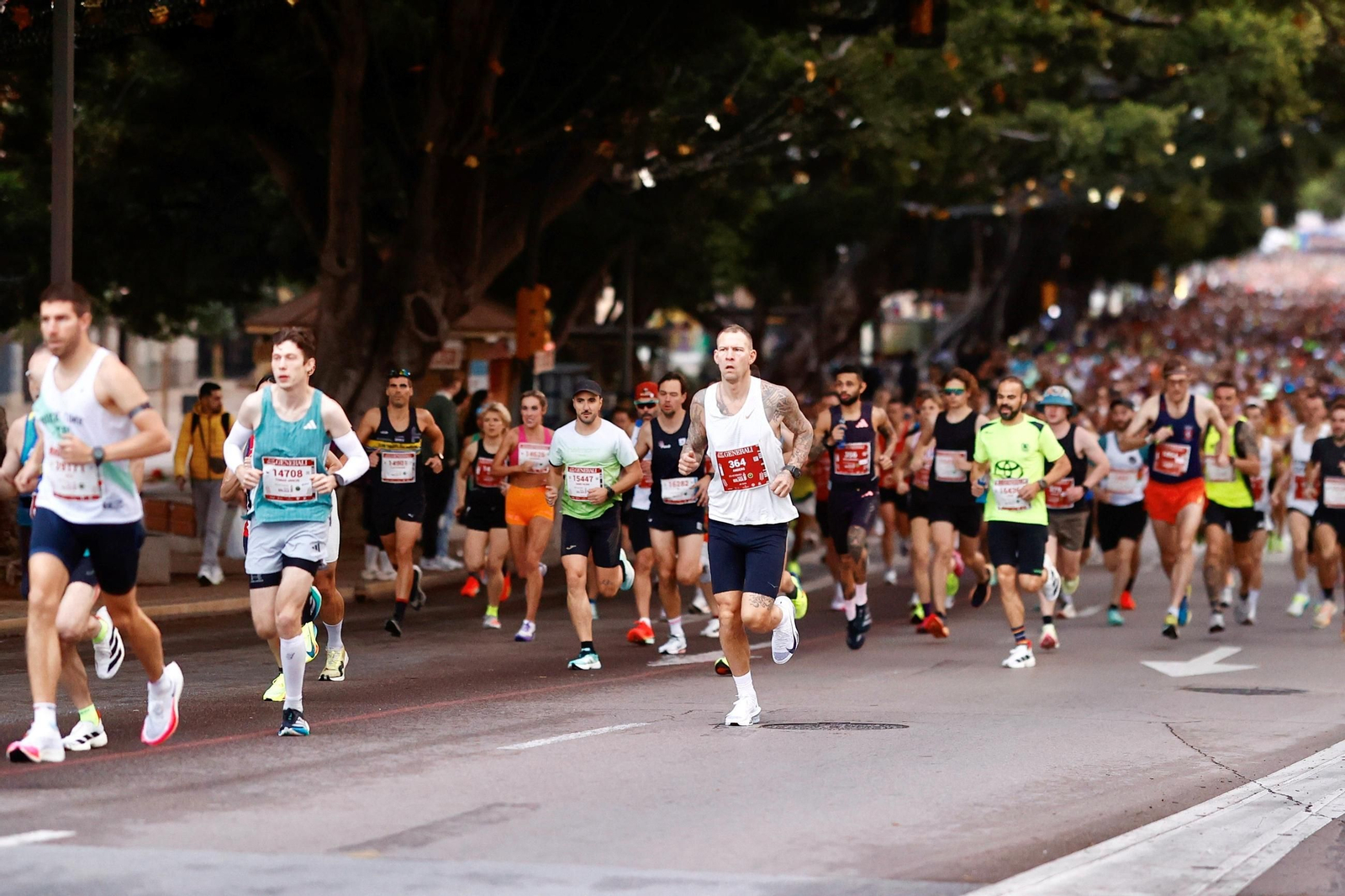 Las fotos de la Maratón de Málaga 2025