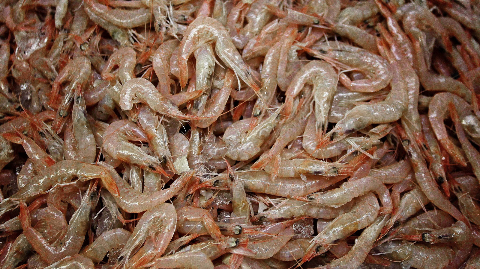 Mercado de la Concepción en La Línea