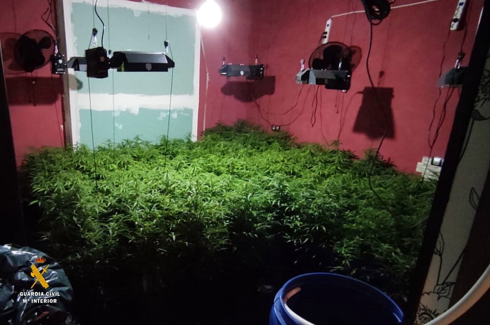 Decomisadas 229 plantas de marihuana tras un incendio en una vivienda de Roquetas de Mar