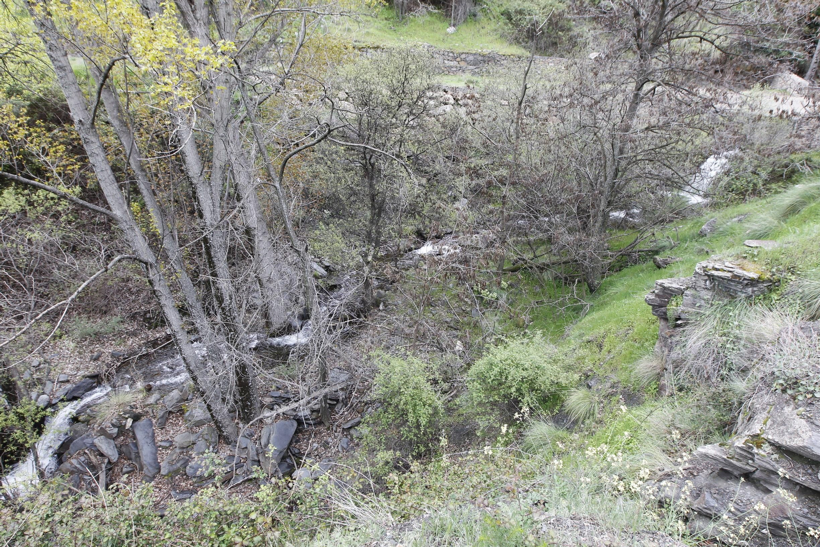 Naturaleza desconfinada. La Roza (Abrucena)