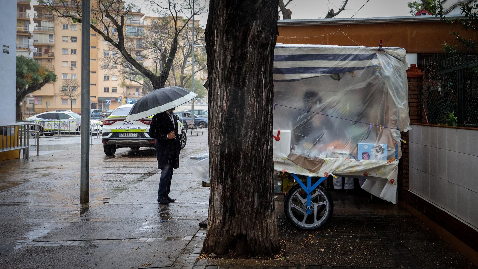 La Hermandad de la Candelaria de Jerez en imágenes
