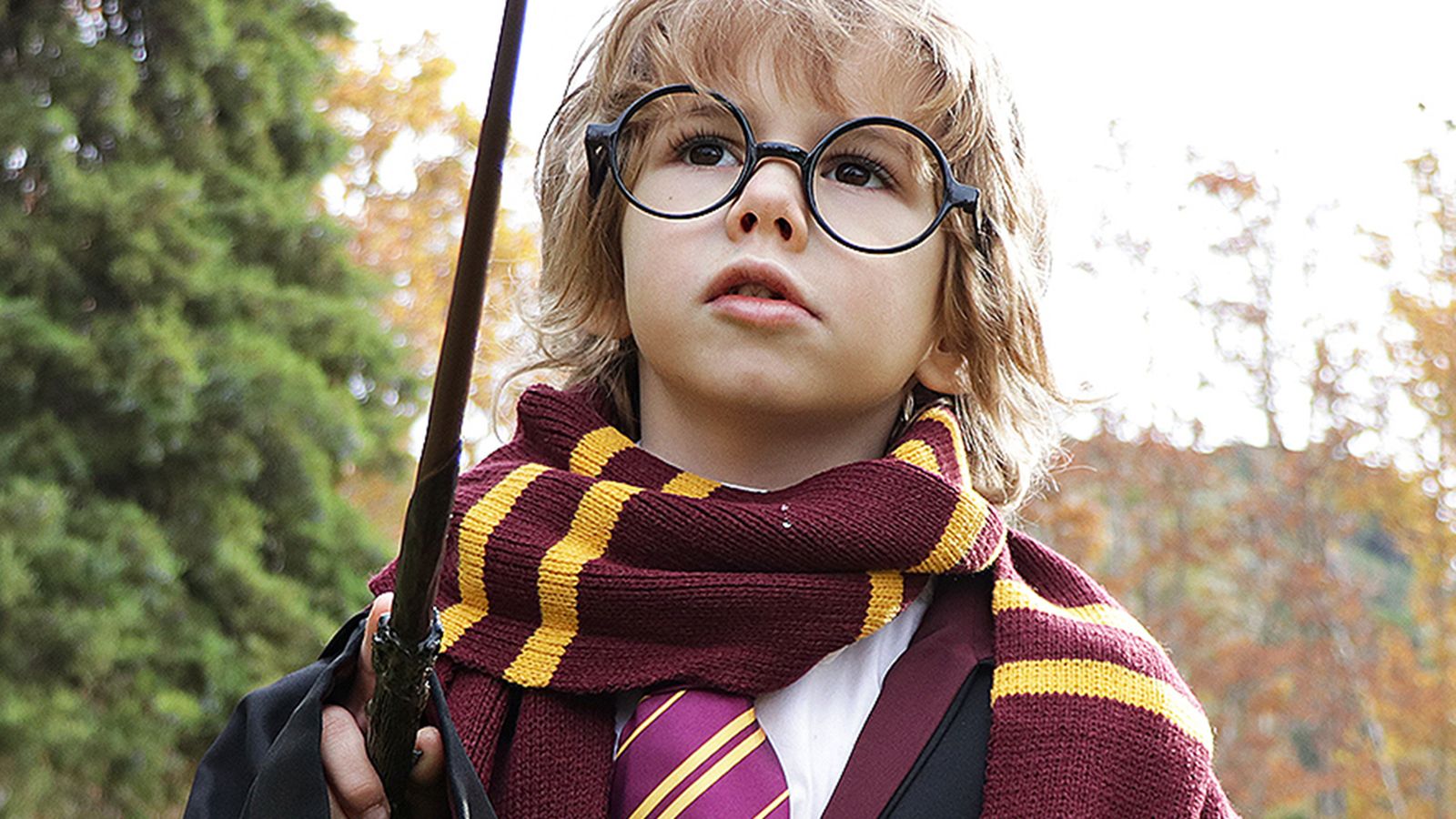 Los productos de Harry Potter son los más demandados.