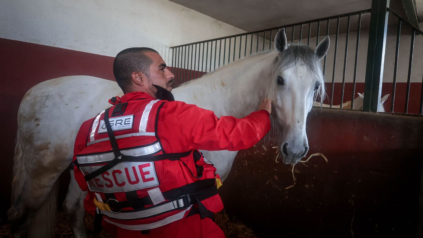 Intensa jornada en las zonas inundadas de Jerez, en imágenes