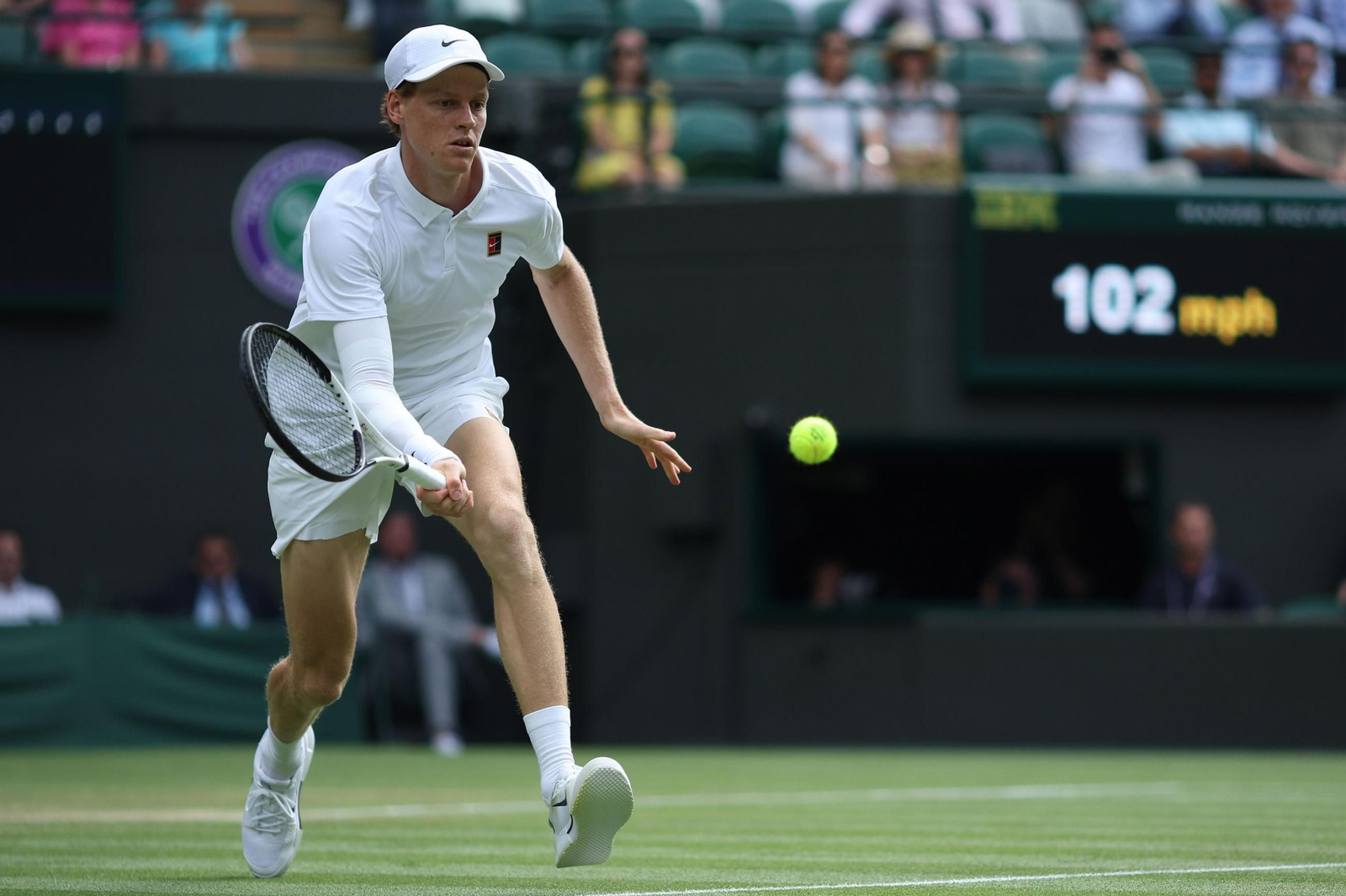 Las fotos de Wimbledon con las clasificaciones de Djokovic y Sinner