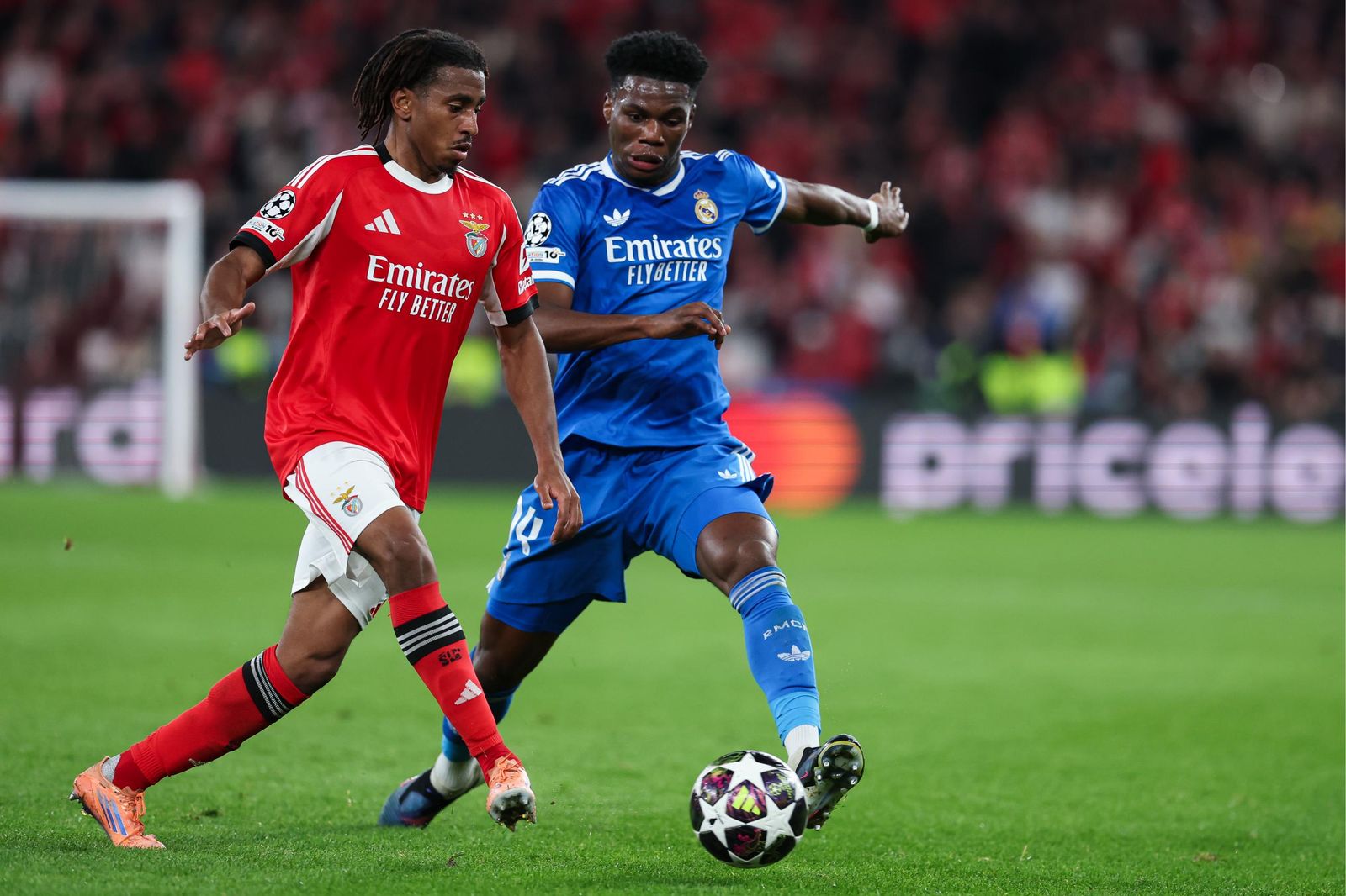 Las fotos del Benfica-Real Madrid