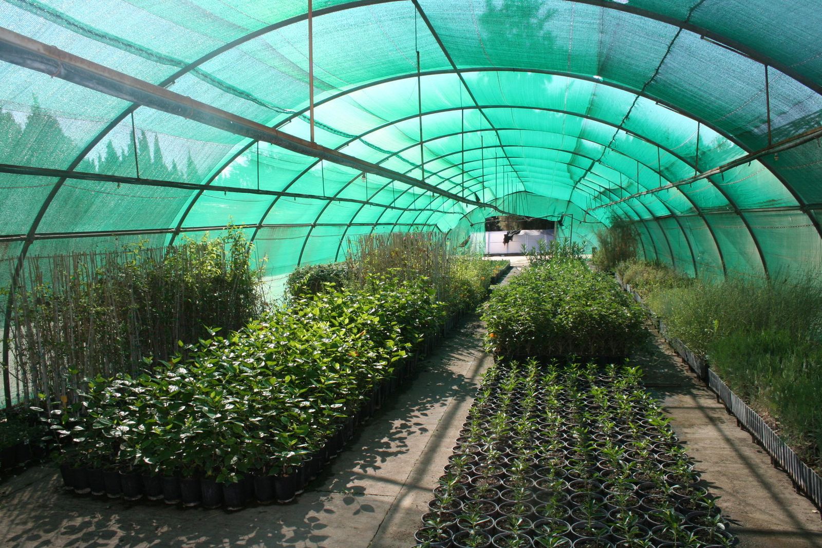 Una de las instalaciones que el Vivero Provincial tiene en la antigua Granja Escuela.