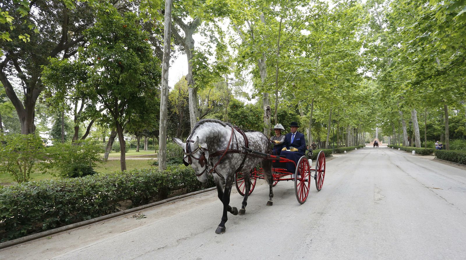 El concurso de enganches, en imágenes