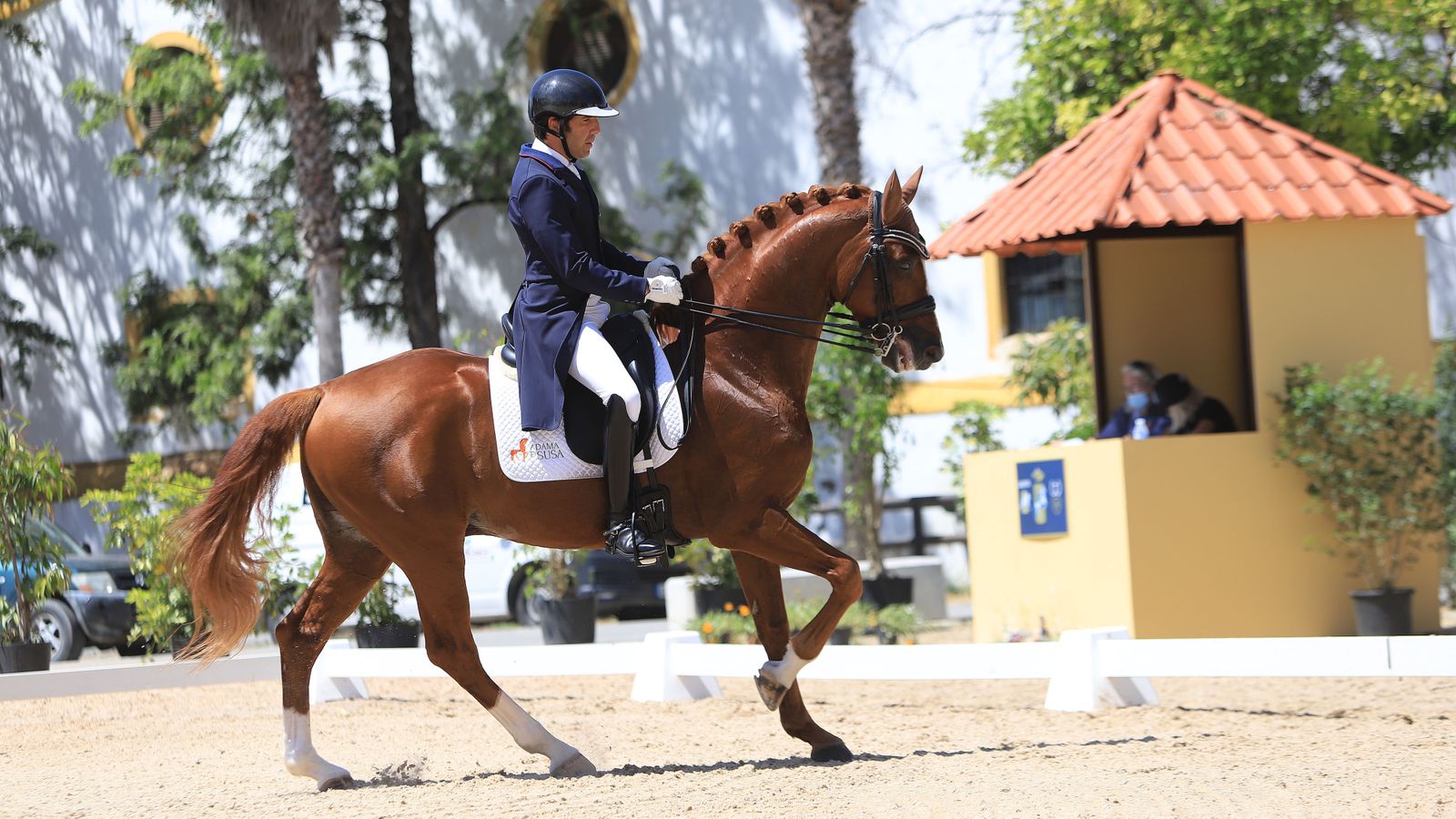 Concurso de Doma Clásica en Real Escuela