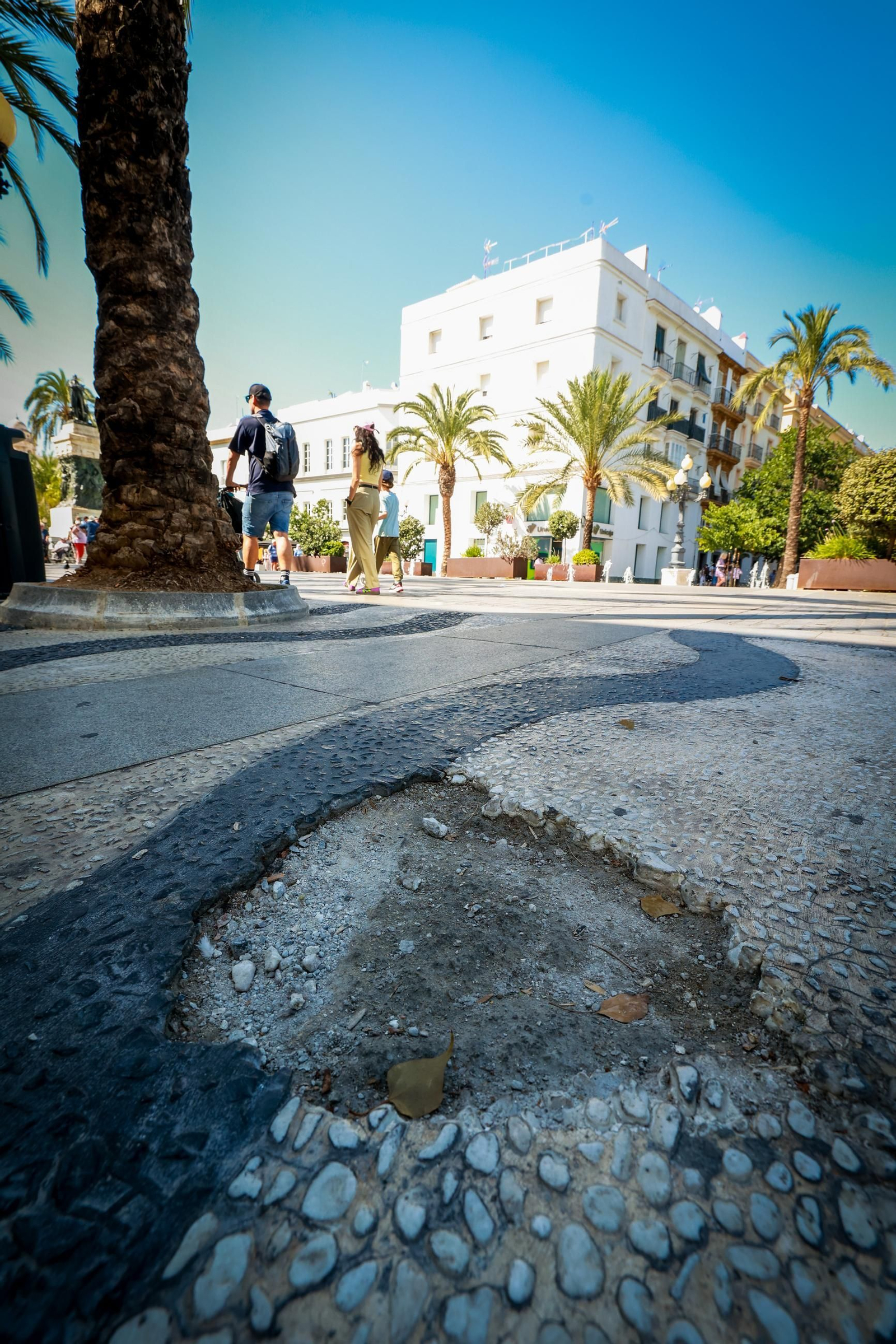 Así están las principales plazas de la ciudad de Cádiz