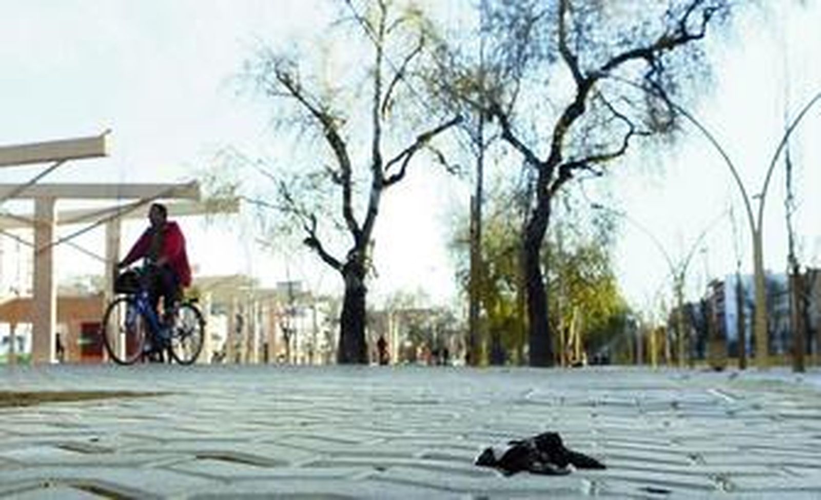 Un excremento de perro sobre las baldosas del bulevar de la Alameda de Hércules.