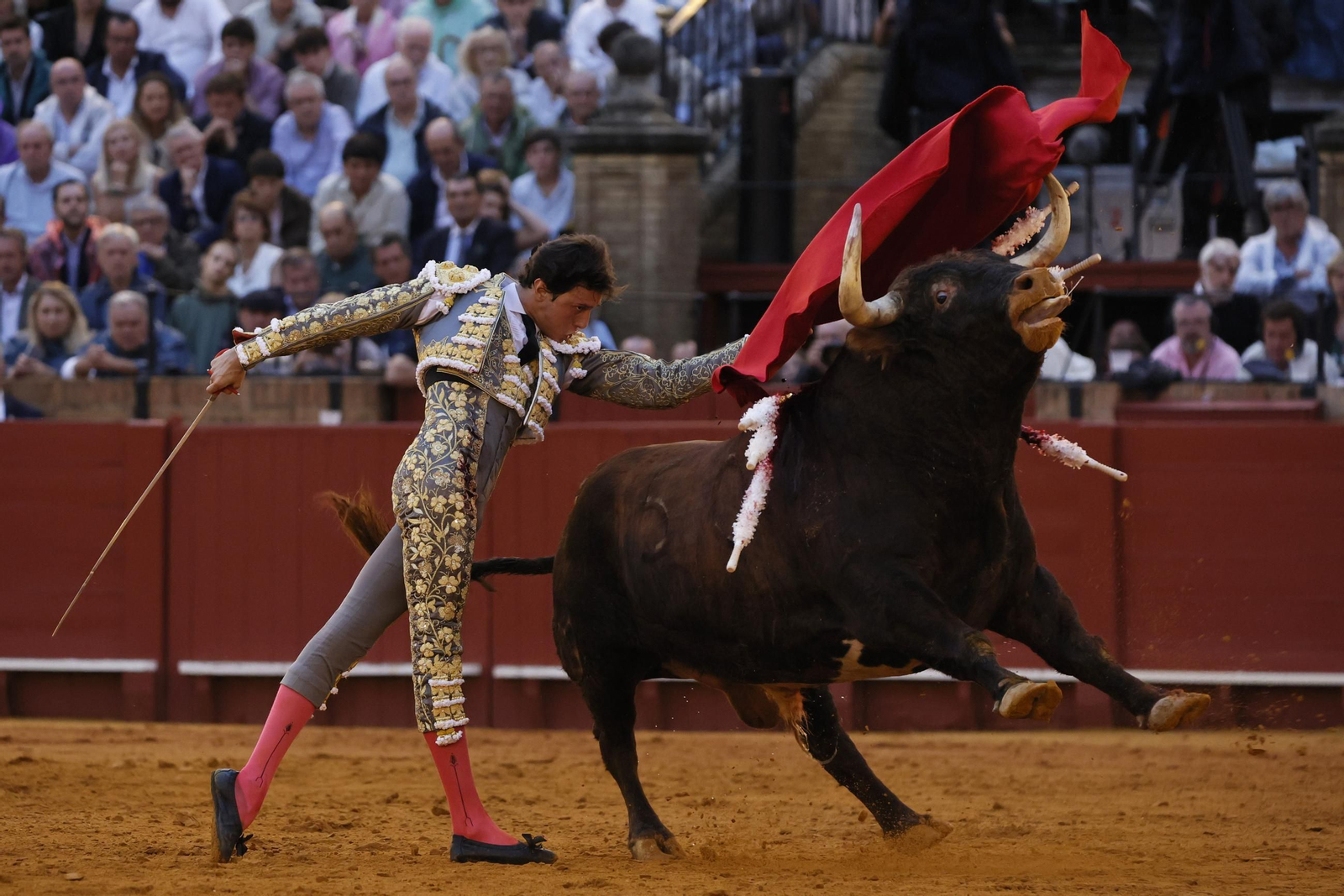 Las imágenes del festejo