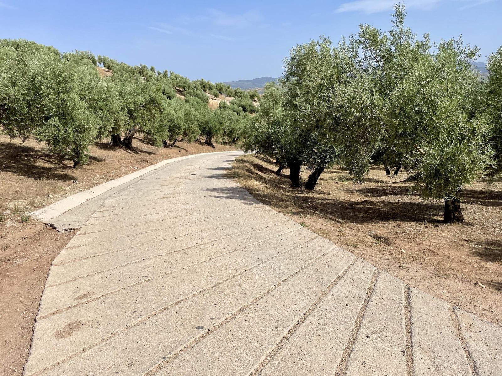 Plano detalle del estado actual del Camino de los Cierzos.
