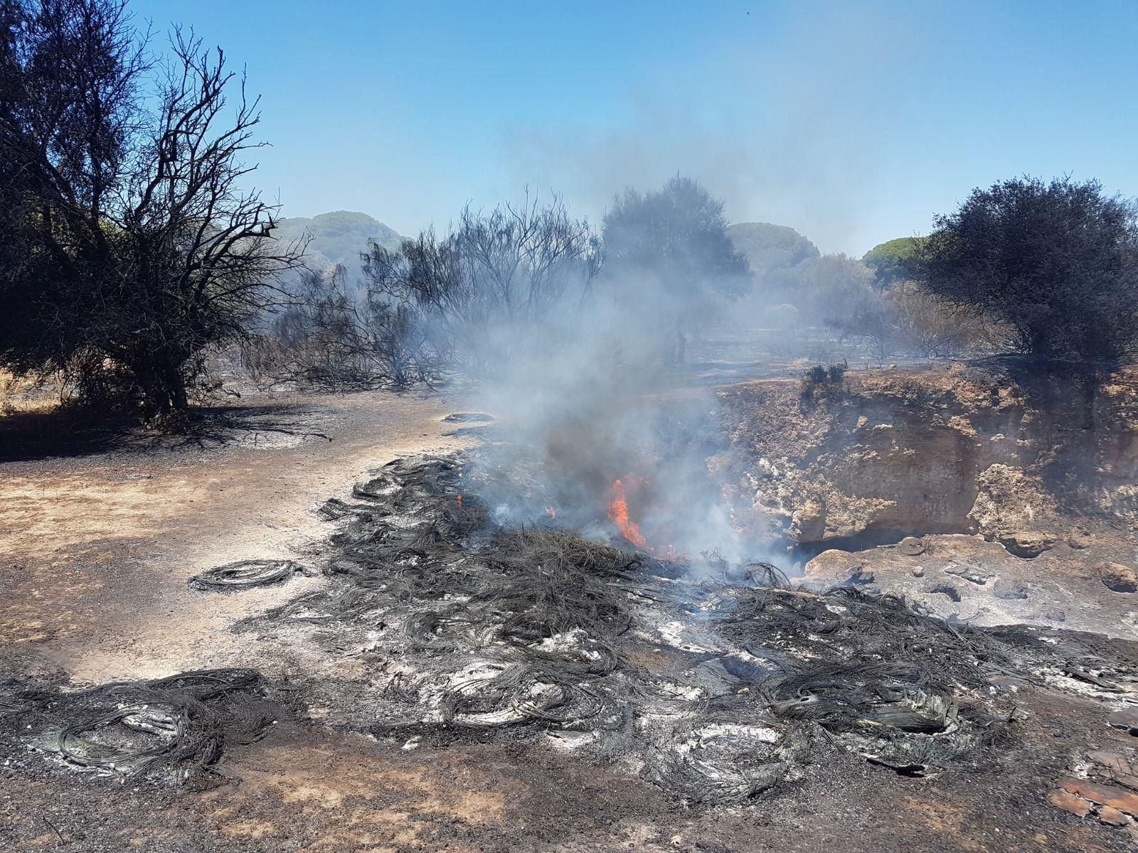 El foco del incendio, aún activo alrededor de las dos de la tarde de ayer.