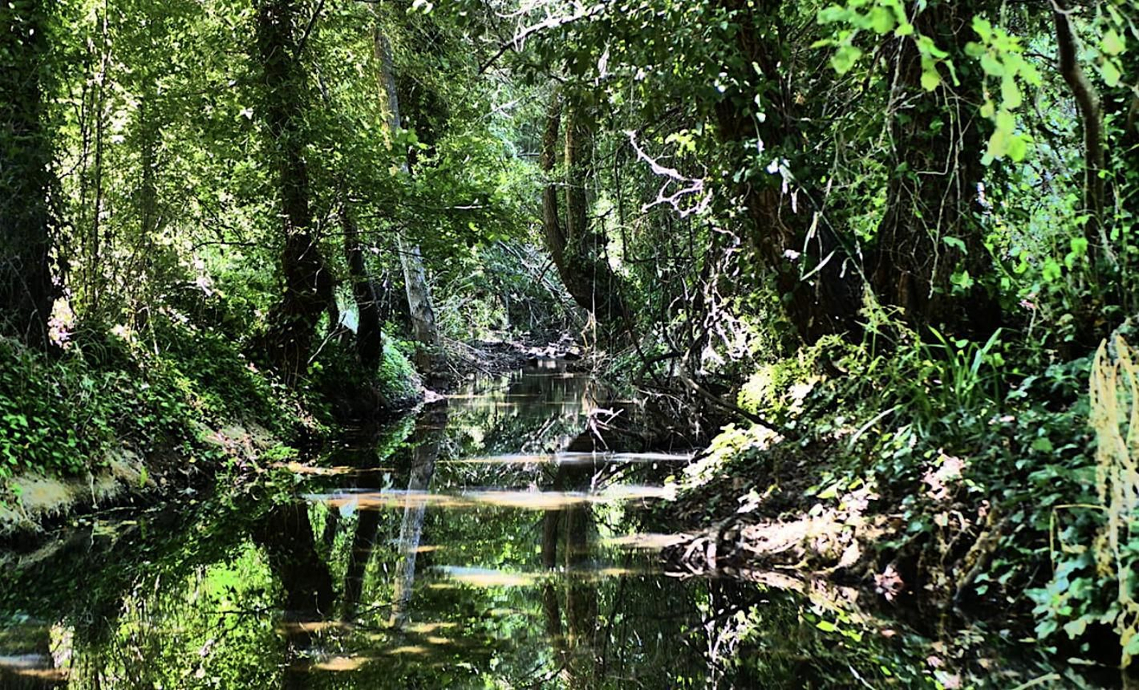 Descubre este paraíso del agua en Huelva