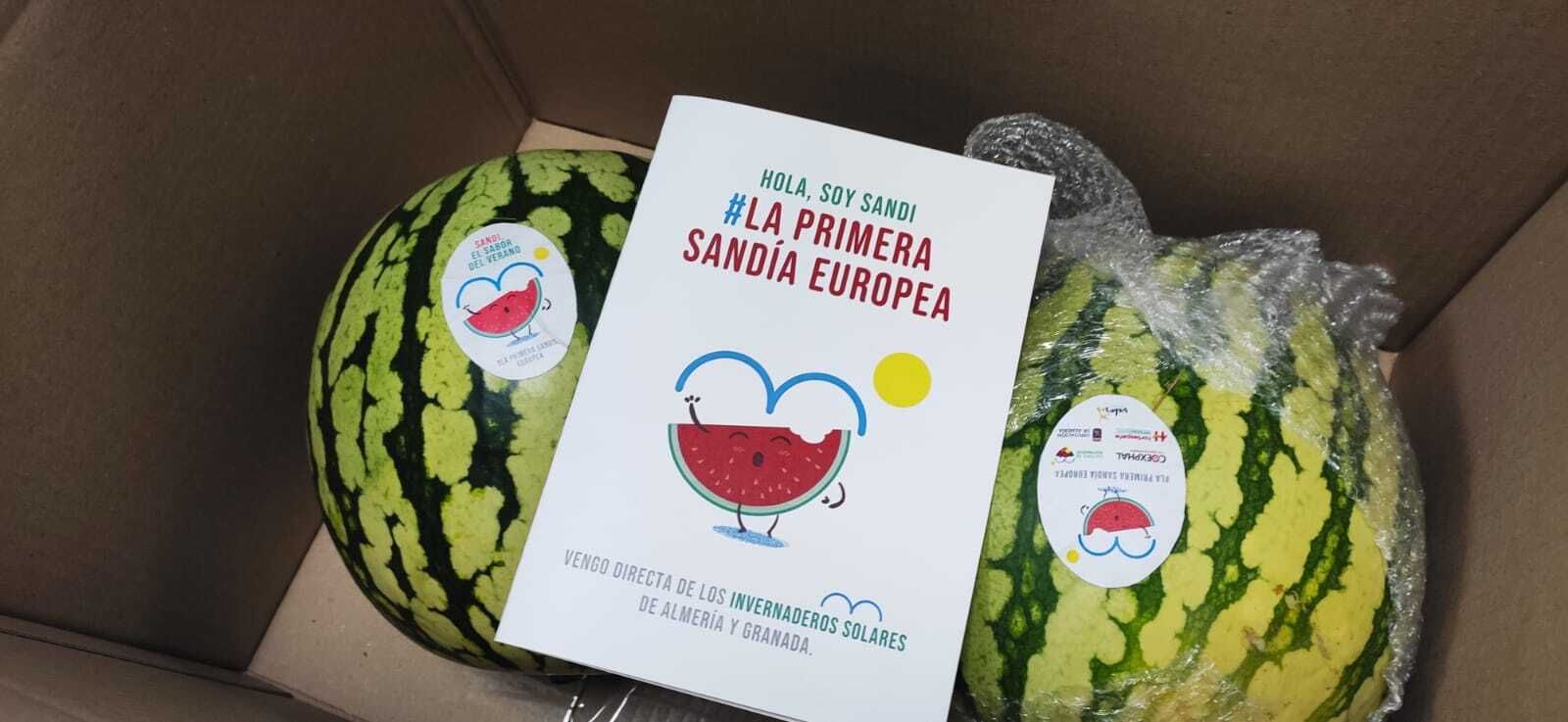 Envío de sandía Sandi.