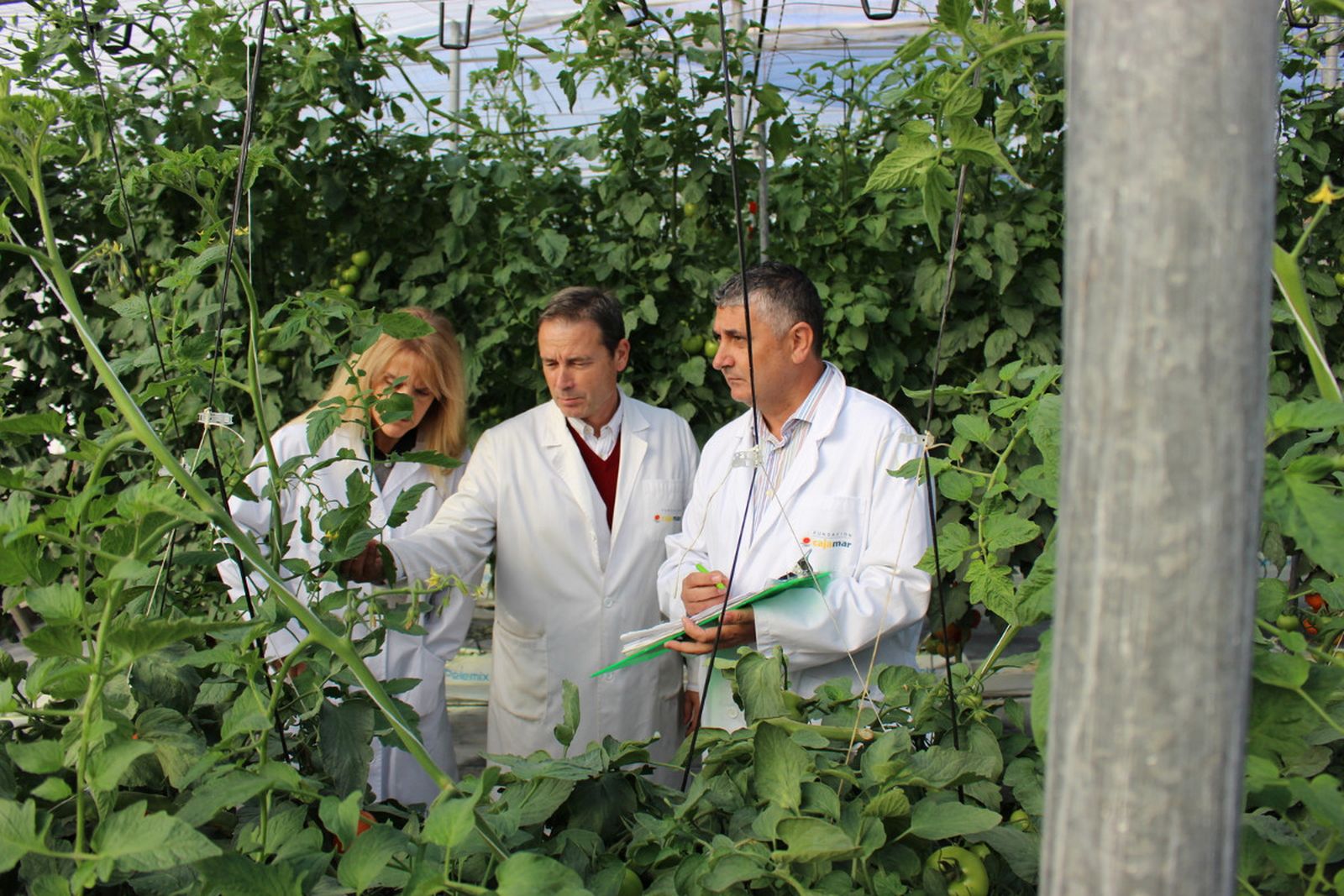 Estación Experimental de Cajamar