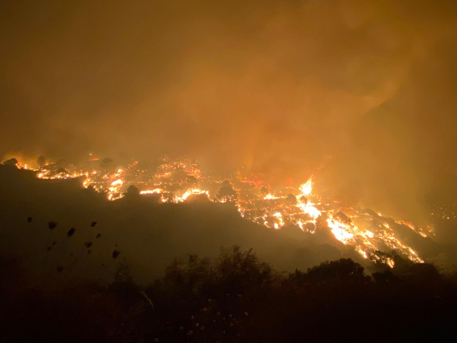 Vista de Sierra Bermeja en llamas.