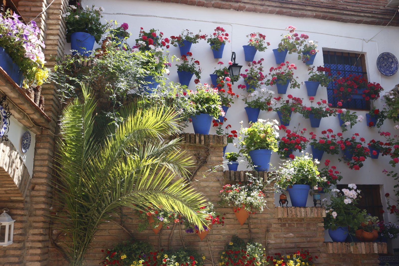 Ruta de los patios de San Lorenzo