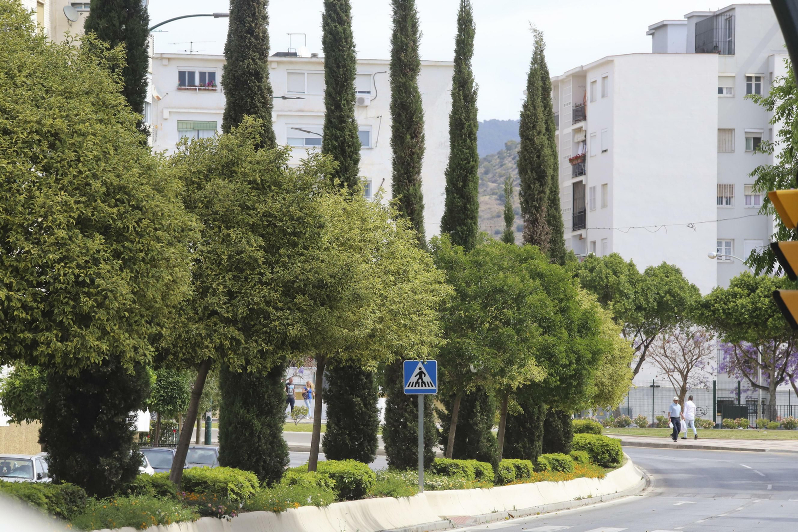 Las fotos del distrito Palma-Palmilla