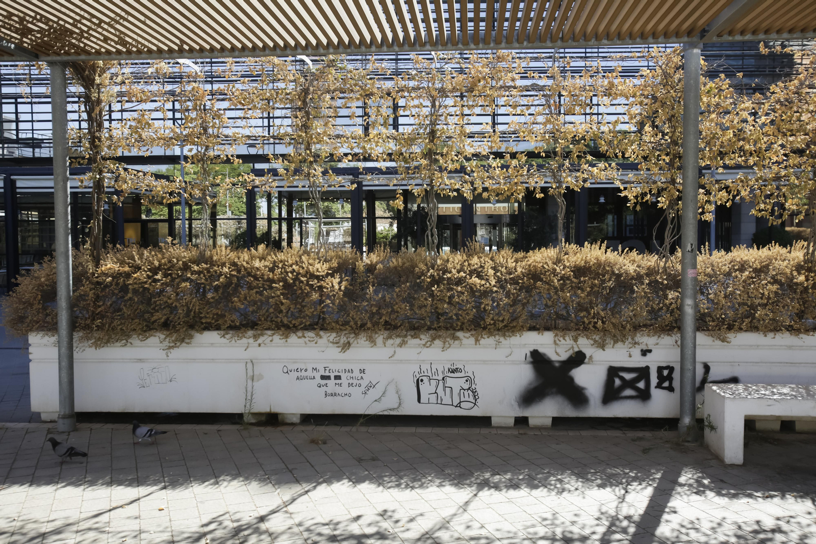 Abandono y mal estado de la plaza entre Mercadona y Plaza de Armas