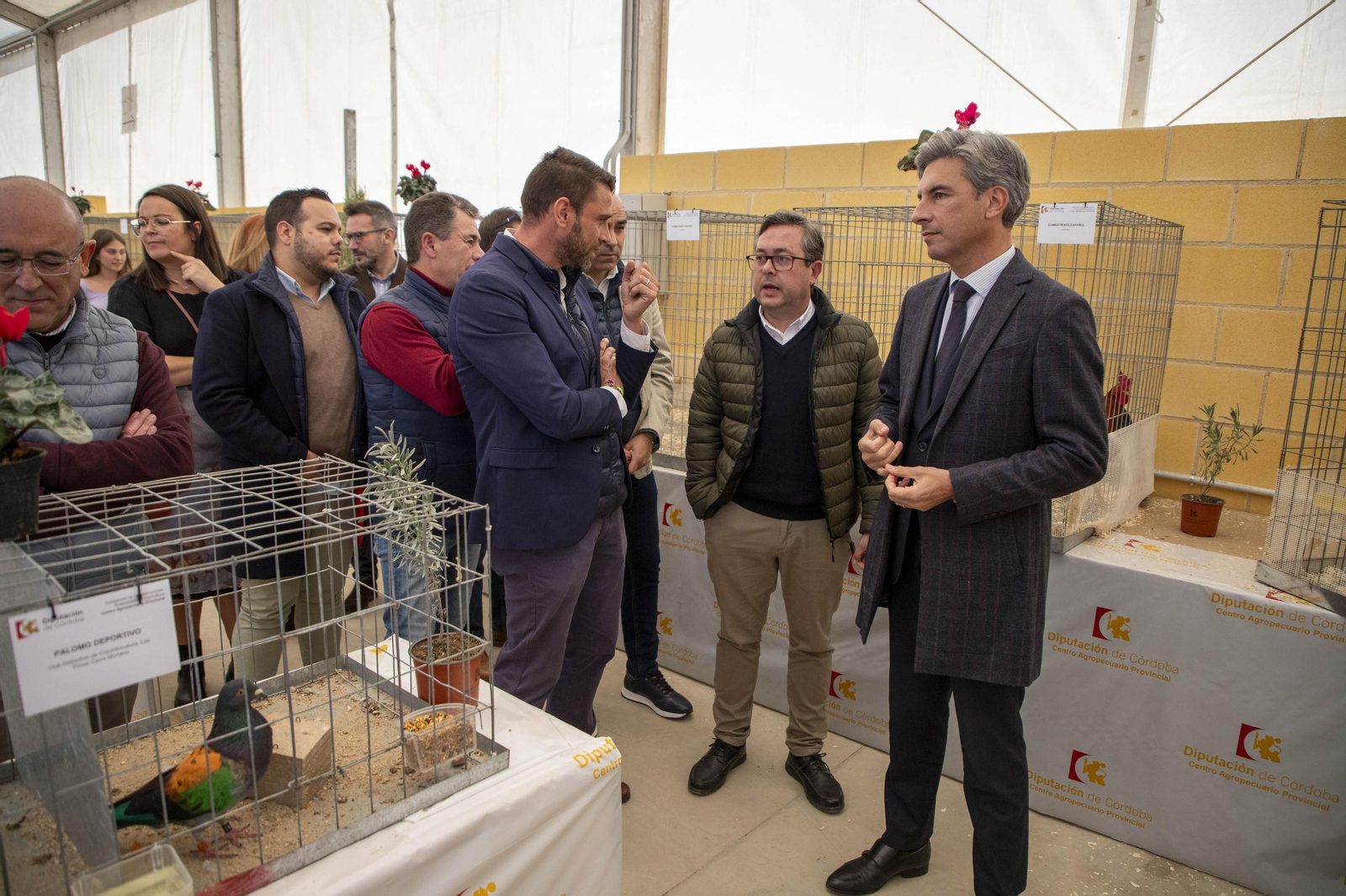 Un paseo en fotografías por Avicor, la Feria Avícola de Córdoba