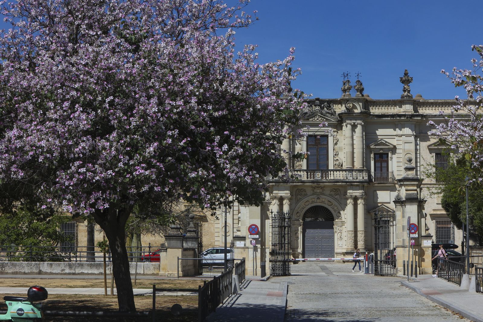 Primavera en Sevilla
