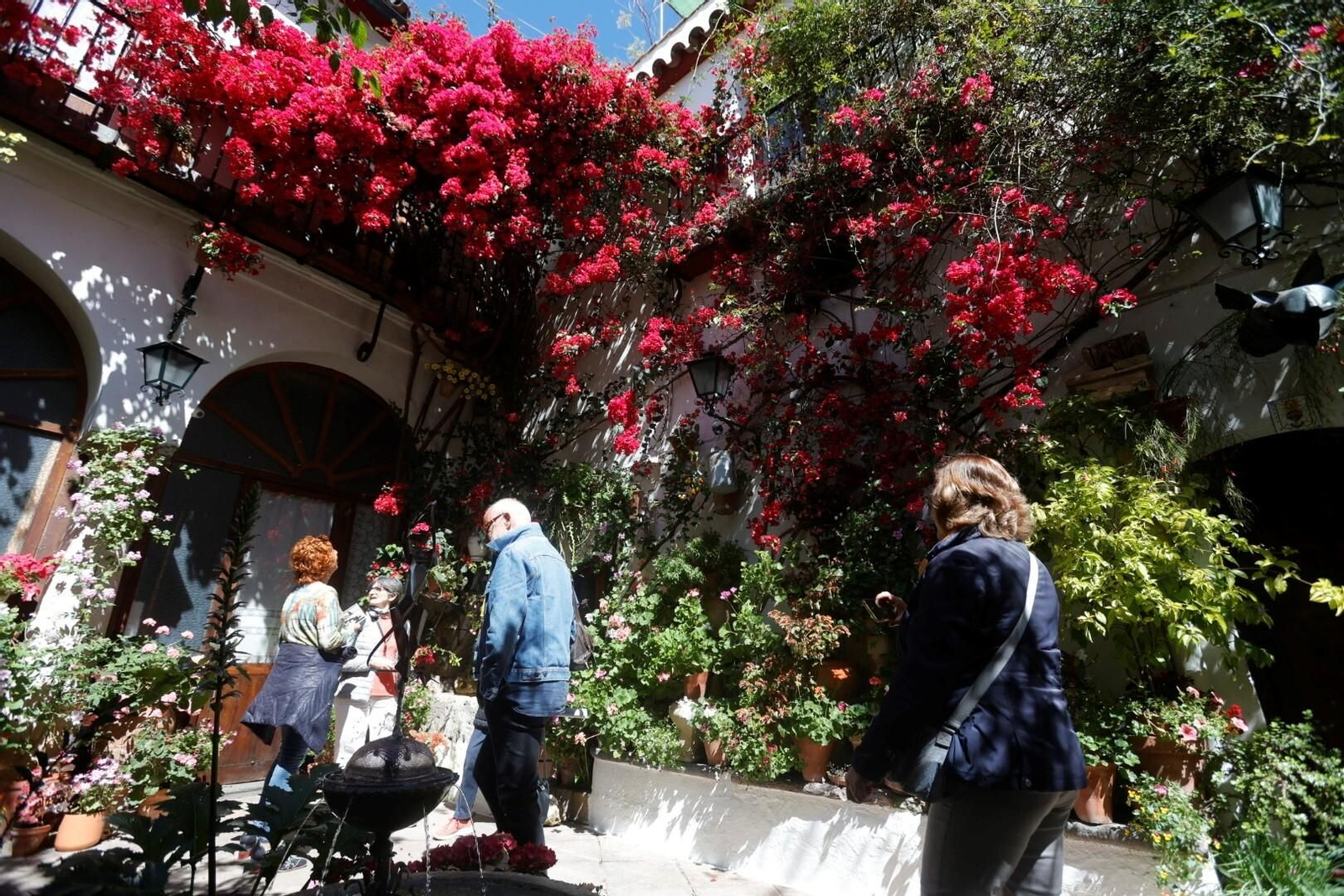 Las mejores imágenes del primer día de Patios en Córdoba