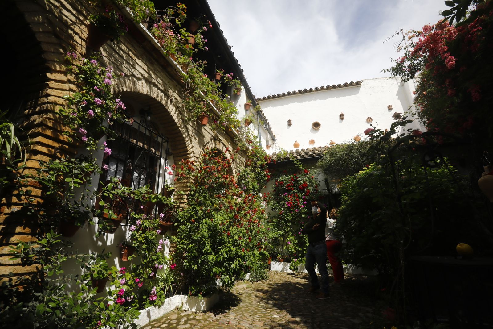 Fotografías: Sábado de colas y bulla en los Patios de Córdoba