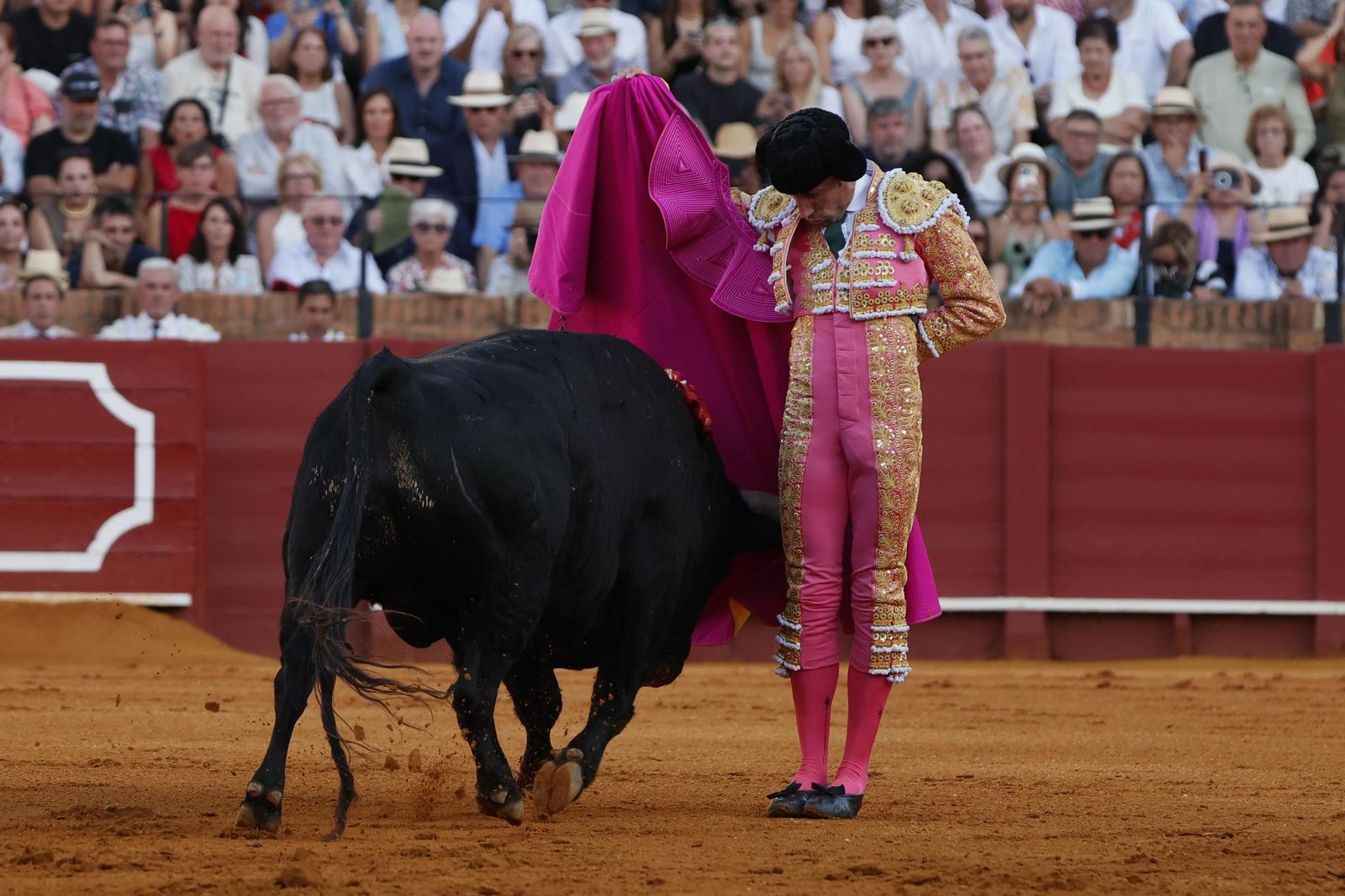 Las imágenes del primer festejo de San Miguel